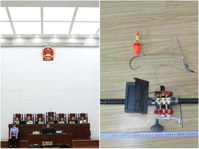 长江|四川钓鱼人长江“钓”了条大鱼，被拘役两月罚5千，不应该？
