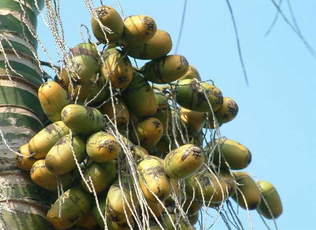 ##吃这3种食物，癌症可能就离你不远了，尤其是第一种！
