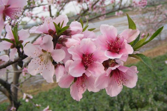 生肖|这3个星座对恋爱很严格，结束恋情后就会断联系，绝不回头