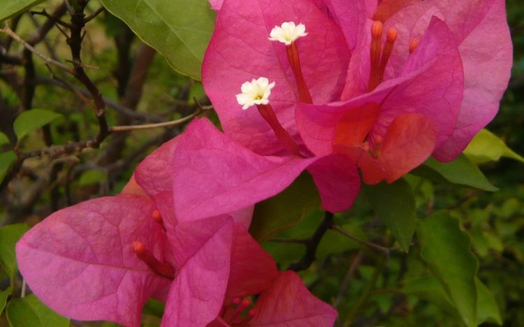 |九月份开始，笑哈哈，好运常常在，终于熬到头的四大星座