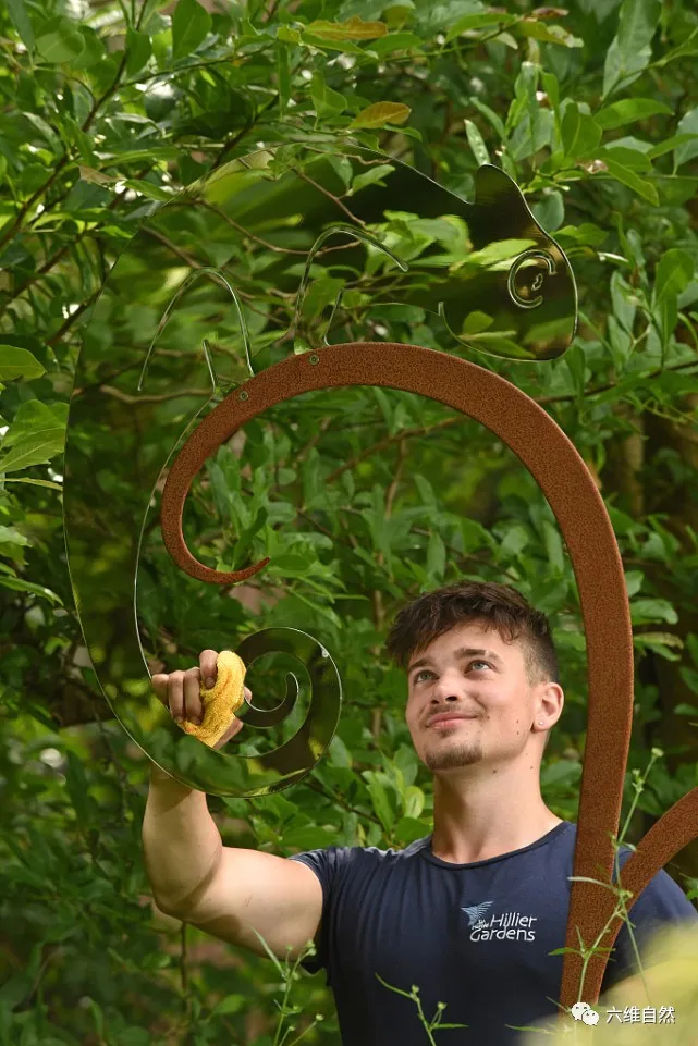 火星探测器|英一花园有只人造变色龙,能反射附近的物体,完美地躲过人类视觉