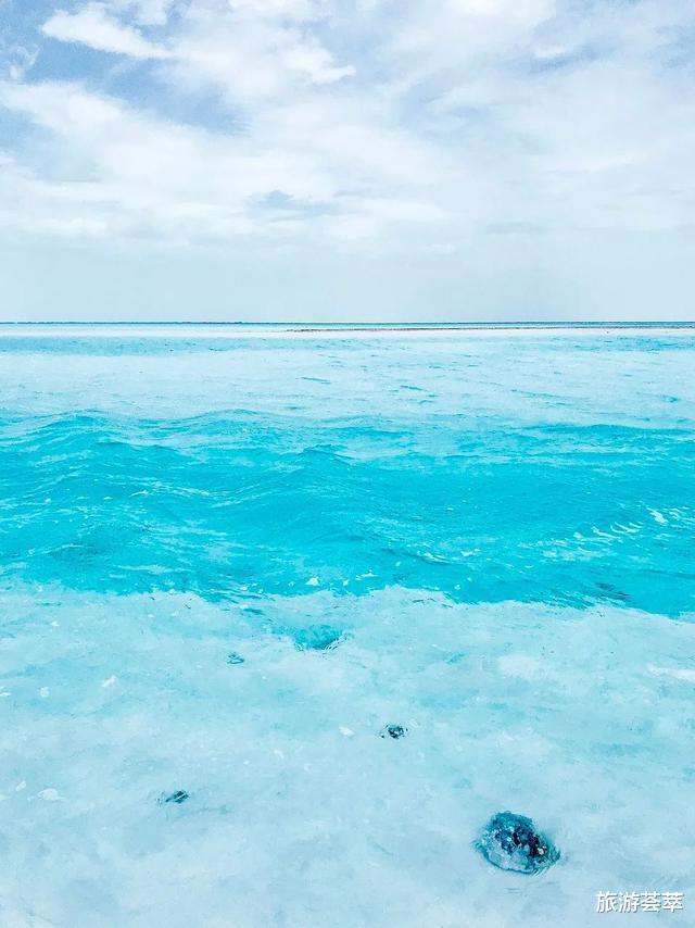 青海湖|青海流出的一组照片,让全世界都震惊了