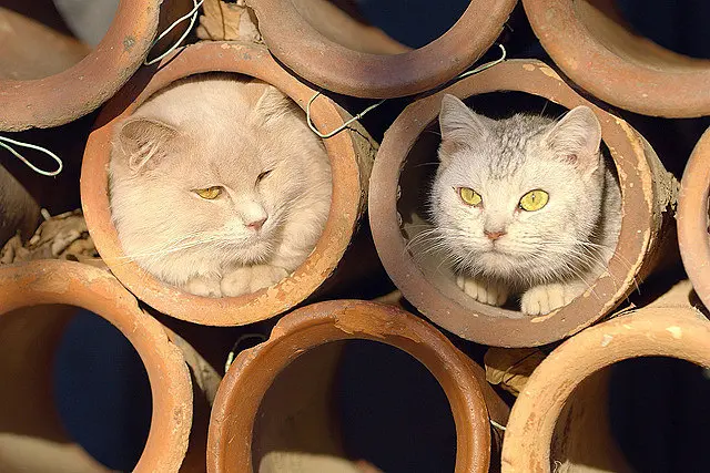 豆瓣@超级治愈电影，导演前作豆瓣9.4，男女神都为他配戏，赌你看了停不下来！