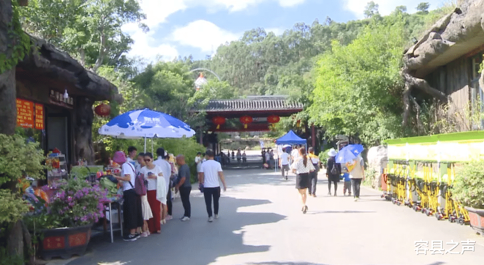 容县之声|广西某景区有人刚下车就被蚂蚁咬伤送医抢救，景区：我没责任