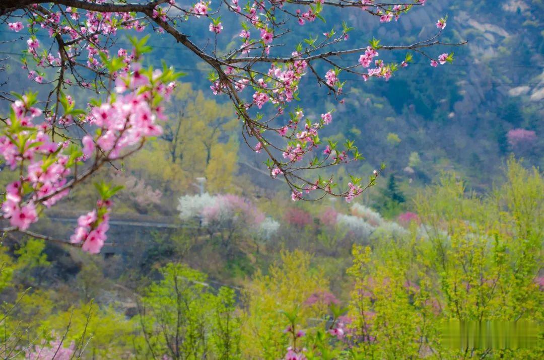 ▲周末，彩石溪走起！