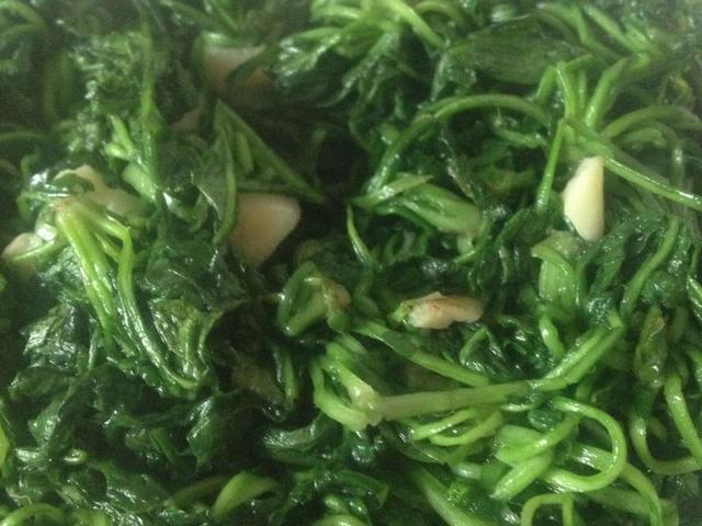 野菜|日本人爱吃的\长寿菜\，在我国烂一地\没人要\，制作方法很简单