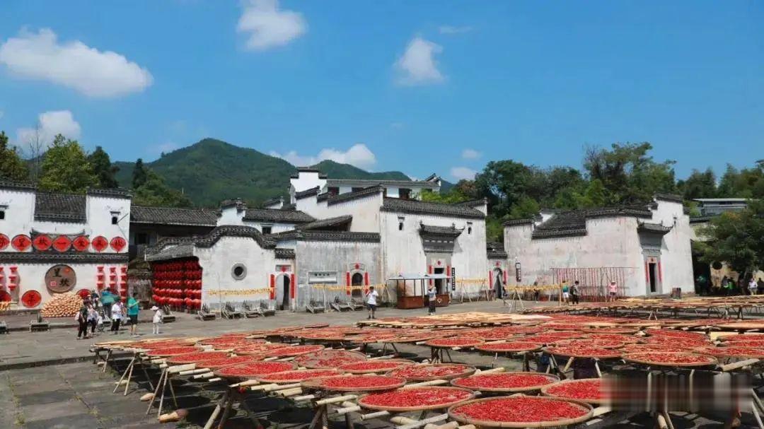 徽州|徽州最美乡村公路，秋色颜值爆表，不来打卡吗!