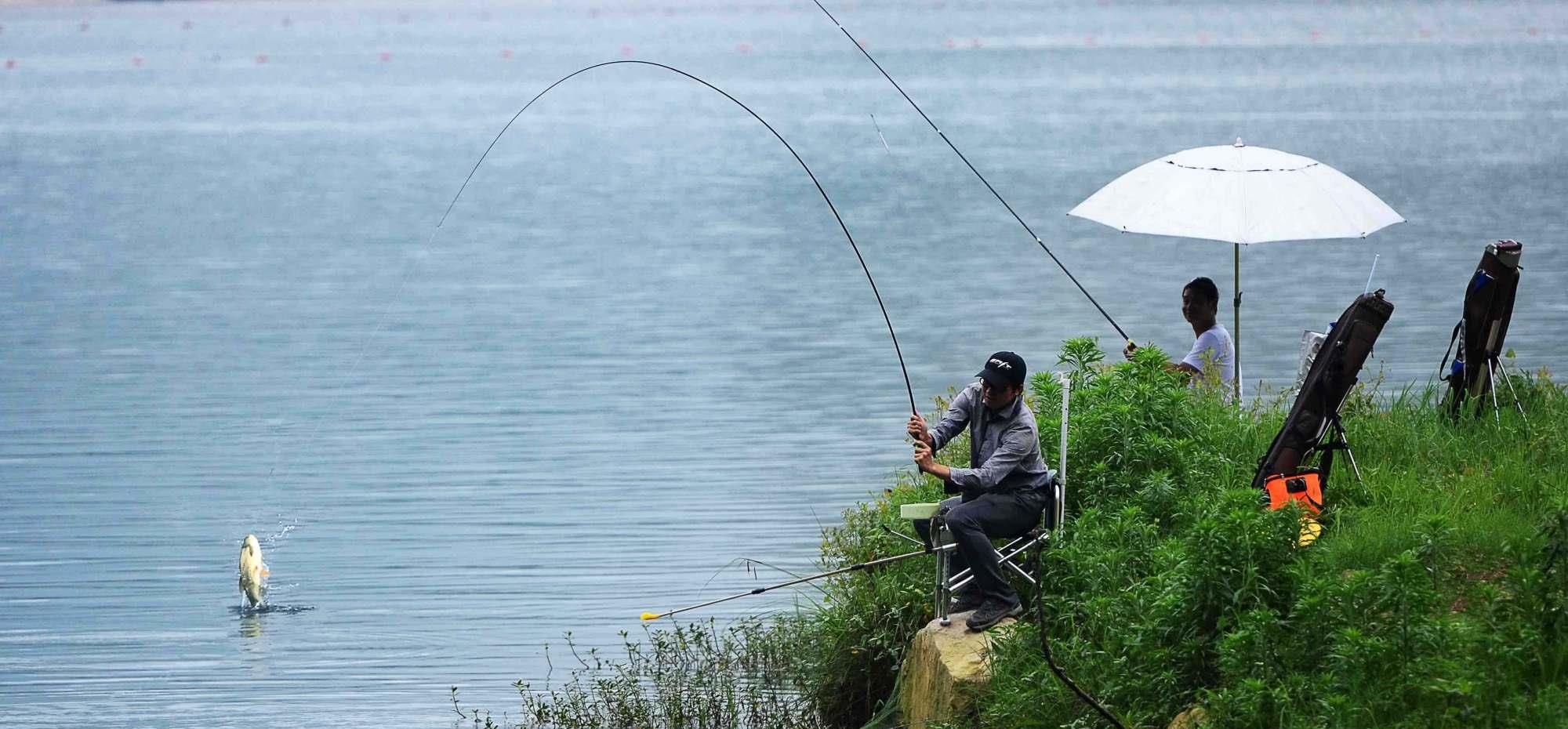 鲫鱼|河里鱼很多，但是又不好钓？原因有哪些？