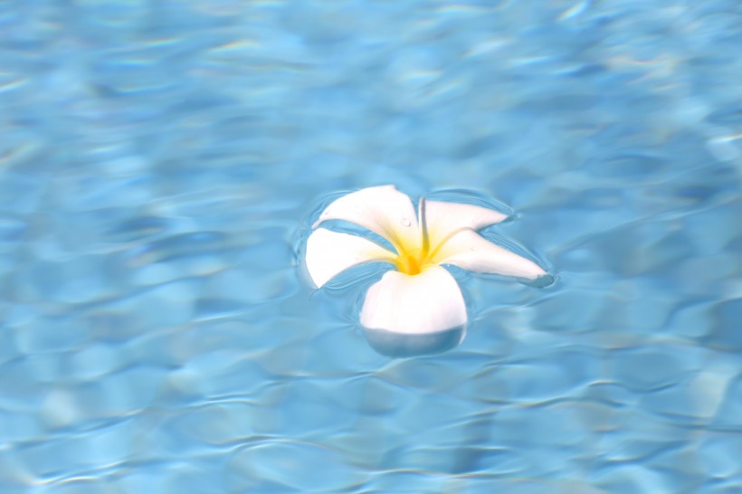 『天蝎座』7月份月老牵姻缘线，4生肖有望结成好姻缘，即可脱单