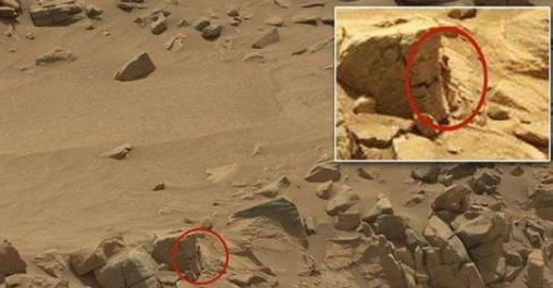 火星|“人形生物”依靠着岩石，“攻击”探测器，火星存在外星生物吗？