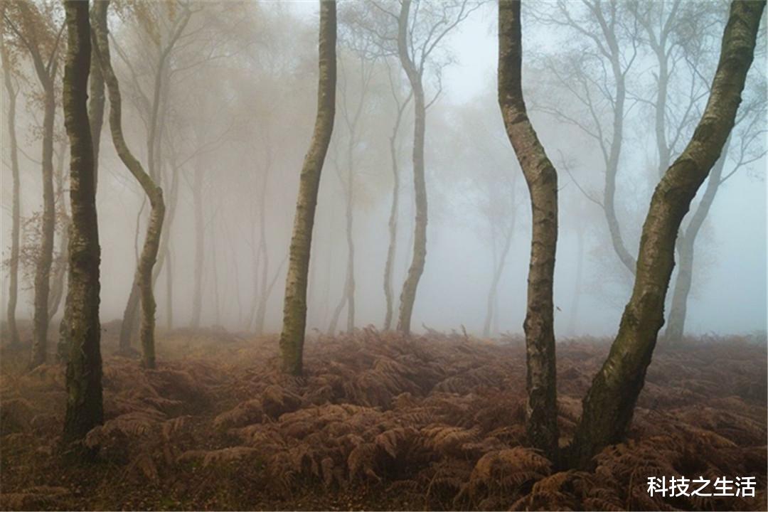 迷魂|“3大未解之谜”,2个在中国,第3个若解开人类文明将飞跃!