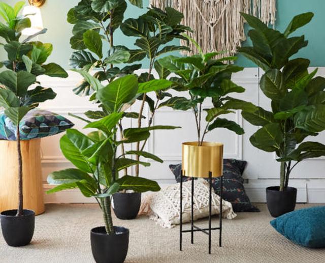 甲醛|甲醛的危害超乎你的想象，正确识别甲醛清除方法，别花钱做无用功