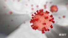 []专家：新冠病毒已突变，传染性提高了10倍