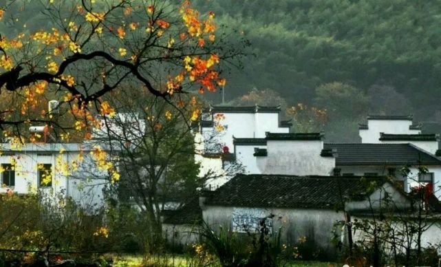 长白山|中国“秋天”最美的10个景区,个个都美如画