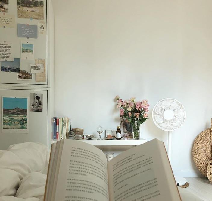 眼前的生活:30岁博主的“治愈系”家居走红:一个人的生活,过得精致而美好