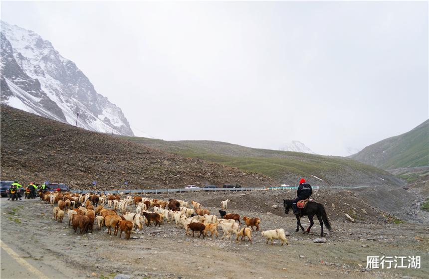 [自驾]中国最美自驾公路，全长561公里，一天看遍四季风景，游客：一生必来