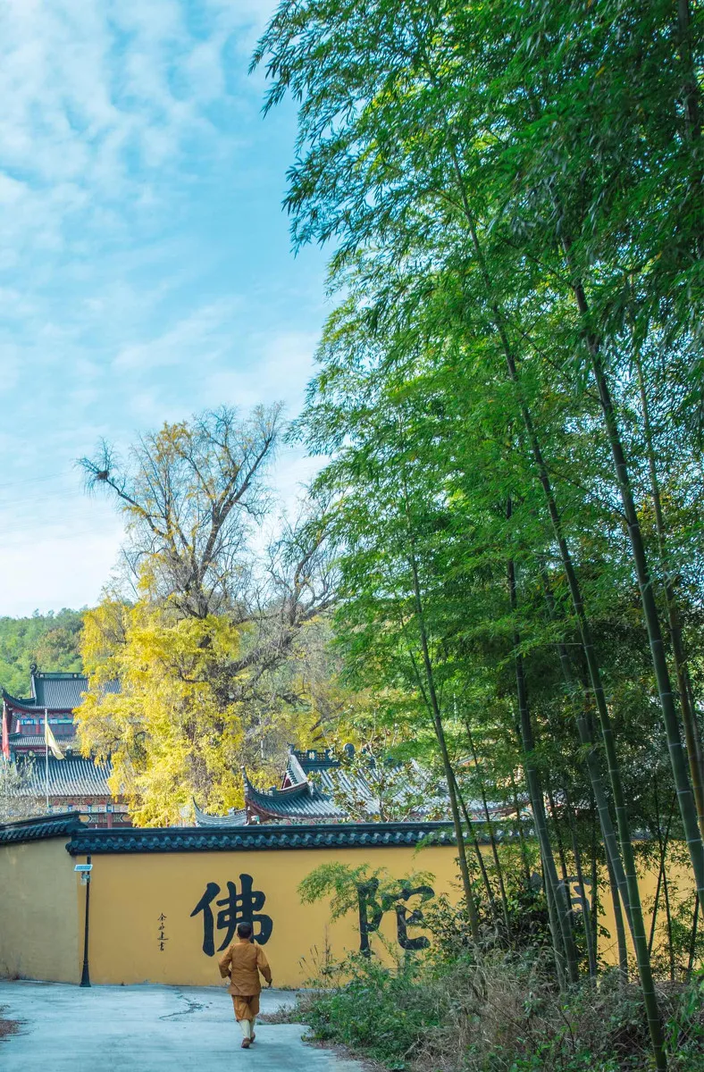 湖州|全国人民去苏杭寻江南，它却被江浙沪奉为天堂！累了就去过几日安逸慢生活