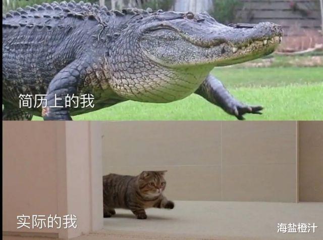 |“网恋奔现能可怕到什么程度?哈哈哈童话里都是骗人的.....”