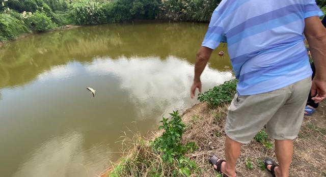 |钓鱼最高境界，钓到的鱼立马“放生”，这样还能玩一下午！