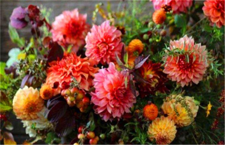 生肖|家里有着三生肖的孩子，天生是福星，招财进宝，父母安享晚年