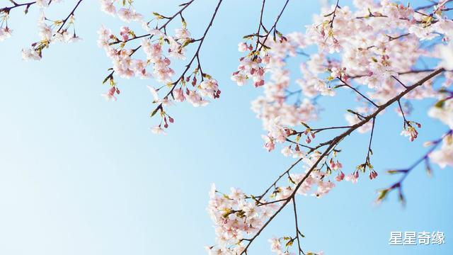 「狮子座」6月6日起，烟雨朦胧，爱意回荡，虔诚认错的星座，爱情迎来重生