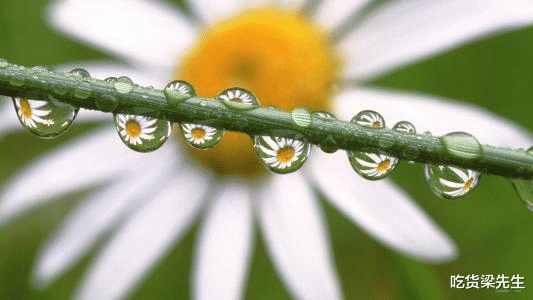 「星座女」年纪越大越迷人,姿色不减当年,年老却不会色衰的四大星座女