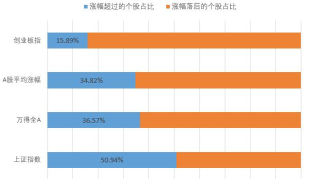 「创业板」盘点2020年上半年错过的10只“大牛股”,有你熟悉的吗?