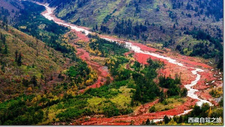 川西|深秋酝酿的五彩斑斓，全在川西晕染开了！
