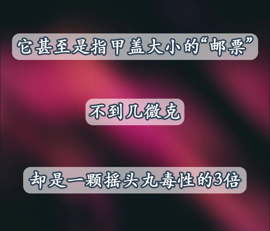 警界视野|都是毒品惹的祸！