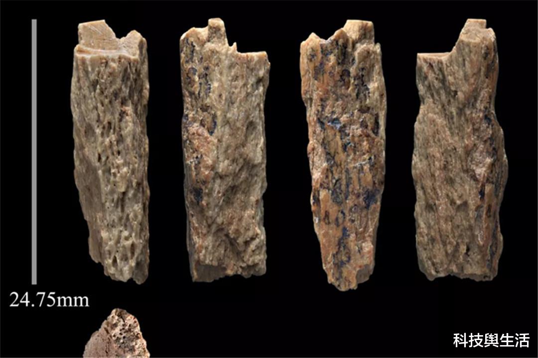 基因|中国人的祖先是谁？科学家根据化石，发现曾灭绝的人种！