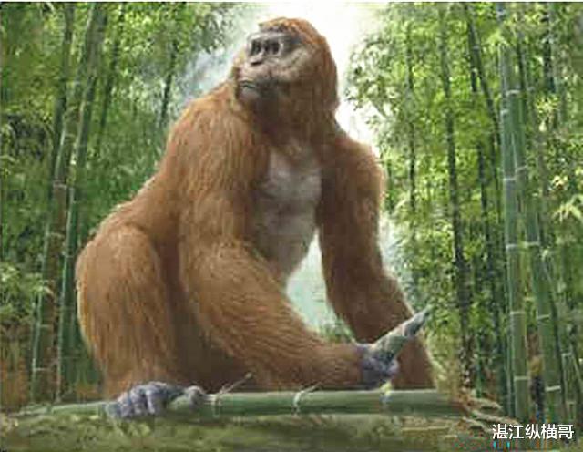 『湖光岩』湛江湖光岩曾是一个可怕的“巨兽时代”，你若穿越能活下来吗？