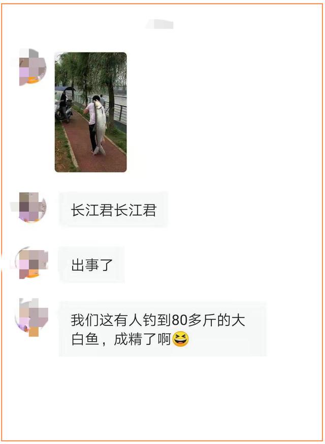 「」80斤“大白鱼”？资江大水男子钓起“大白鱼王”，几同人等高