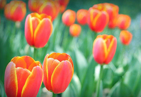 金牛座|立秋后，好运前三，收入翻番的星座