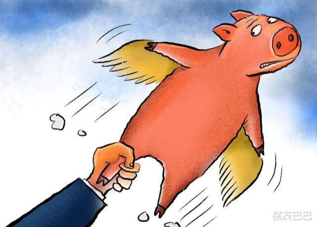 猪友巴巴|立秋“贴秋膘”！2万吨“廉价猪肉”入市，猪价“降价潮”要来？