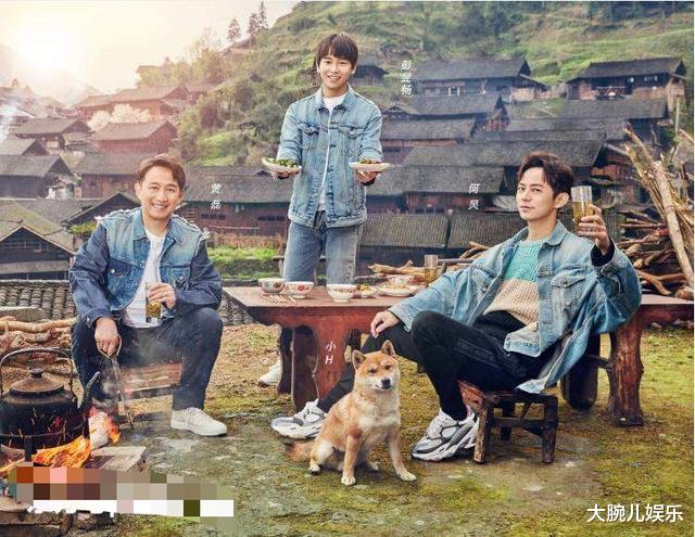 中国好声音@退货《好声音》，放弃《向往》，番茄台，怎么这么“有眼无珠”？