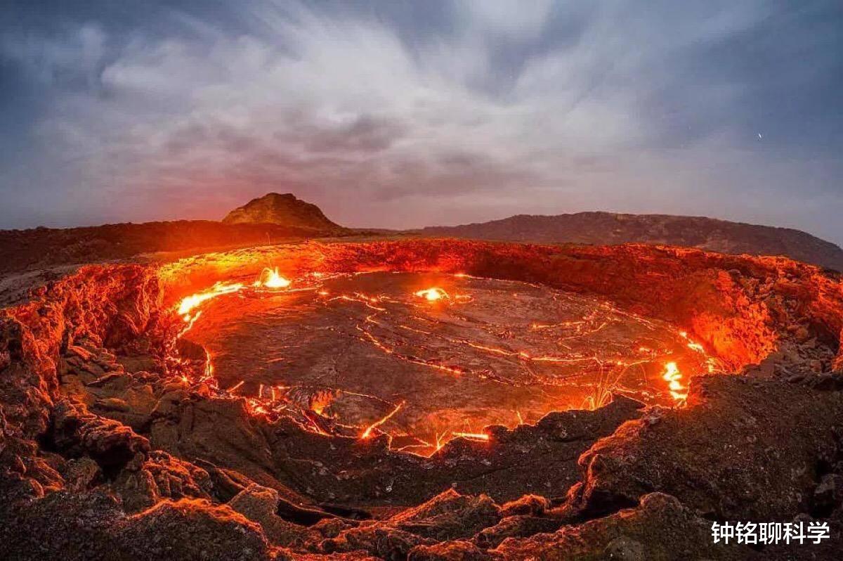 隔离|如果人与动植物没有生殖隔离，世界上的生物会有多奇葩？