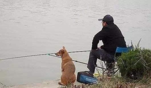 |调漂，到底调的是什么