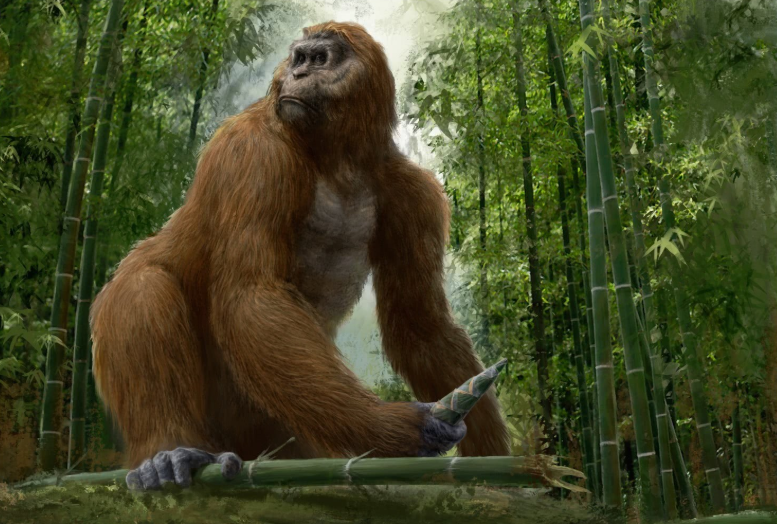 鳄鱼■历史上你会庆幸灭绝的5种动物，第1种可以轻易吞下一个人