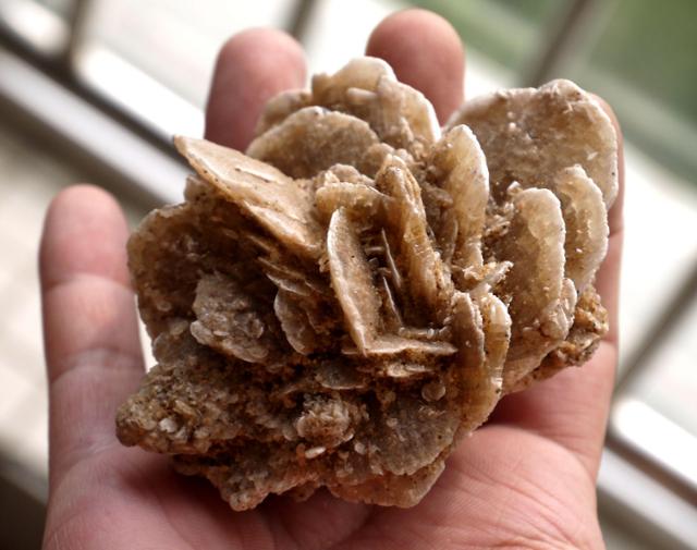 市井哨年 在沙漠里看见“石头”,果断地捡起来,驴友:不捡后悔莫及