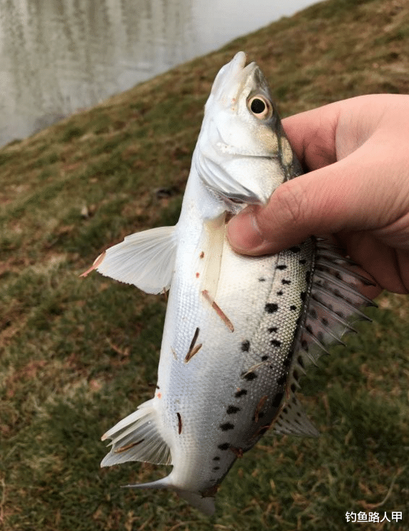 「」五一节钓鱼，不要靠近这几种钓友，有他们在你就别想钓到鱼