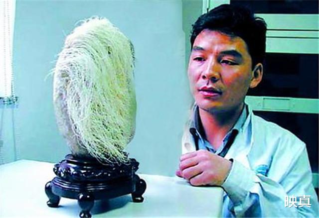 映真|男子花1.8万买下长满白发的石头，半年长了2cm，专家：它是活的