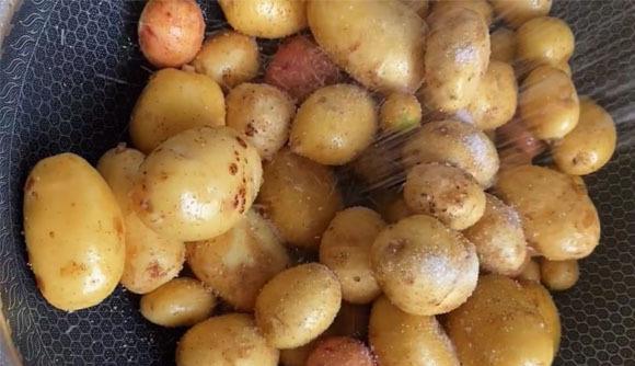 牛奶|它正当季，吃一个相当于吃10个苹果8个梨，才1元1斤，人人吃得起