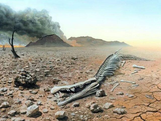 恐龙|灭绝3万年生物重现，不止一例，为何消失已久物种能再次出现？