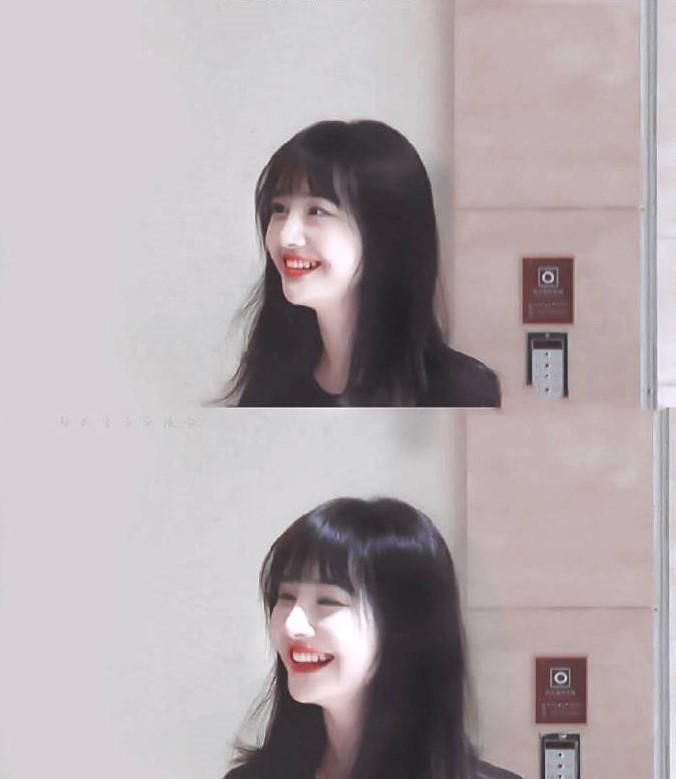 郑爽|郑爽“弃养”早有前科，曾养宠物狗玩完即弃，小尼妻子骂她不是人