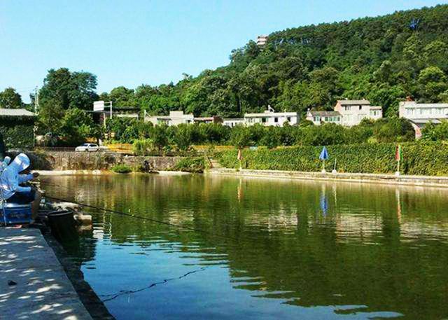 ：坑冠达人分享黑坑钓鱼心得，想得坑冠的钓友看过来