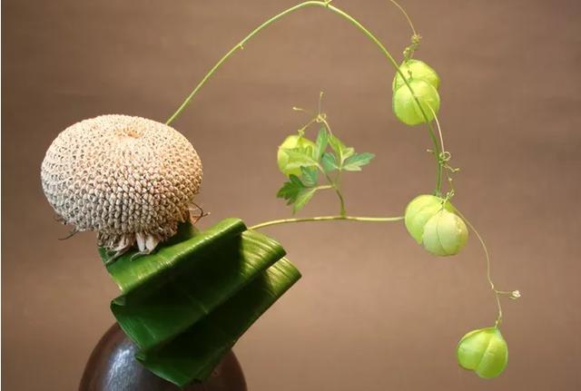 旧爱|9月，财星青睐，财库大开，4生肖一举翻身，求财得财，求福得福