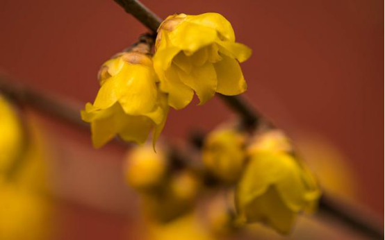 []步入6月，重振旗鼓大步向未来，日子越来越甜蜜，未来可期的星座