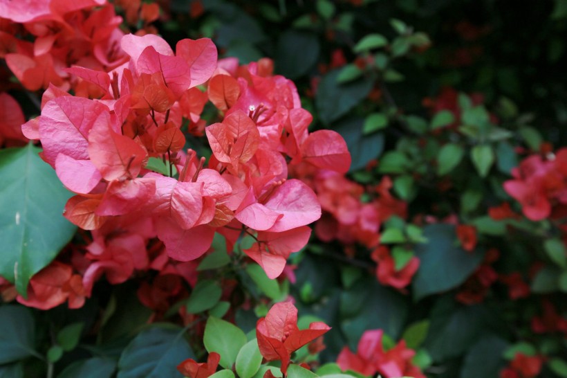 天蝎座|8月上旬期间,桃花运暴涨,幸福来敲门,与真爱携手一生的4大星座