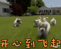 隐婚|放飞小仙女和前夫隐婚代孕生子的幕后大瓜！