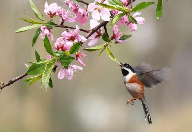 处女座|下个月霉运退散,几大星座迎接阳光,所有事情都可以顺利通过